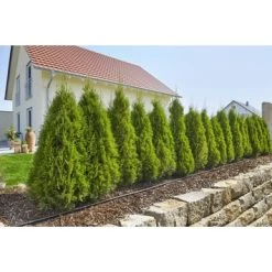 Gardena Micro Drip Startset M Voor Rijplanten (excl Timer) 8 Gardena Micro Drip Startset M Voor Rijplanten (excl Timer) -Gardena 123 1073