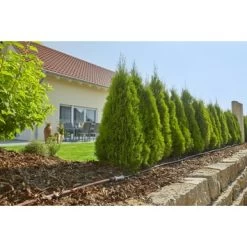 Gardena Micro Drip Startset M Voor Rijplanten (excl Timer) 9 Gardena Micro Drip Startset M Voor Rijplanten (excl Timer) -Gardena 123 1074