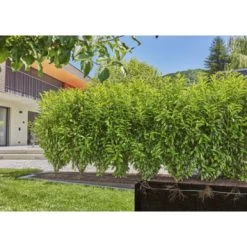 Gardena Micro Drip Druppelbuis 50 Meter Ondergronds En Bovengronds -Gardena 123 999